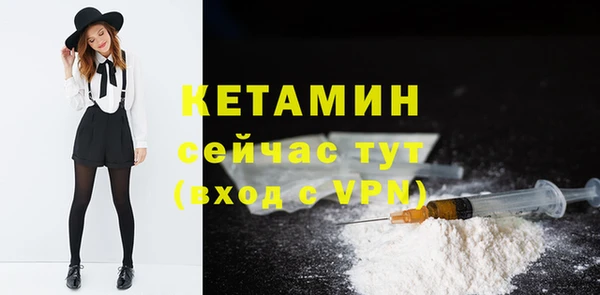 гашик Няндома