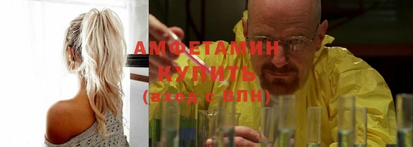 гашик Няндома