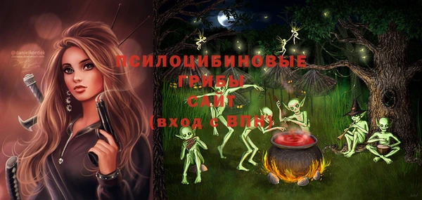 гашик Няндома