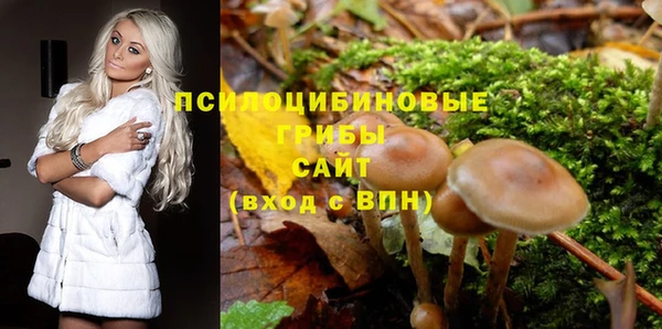 меф Нягань
