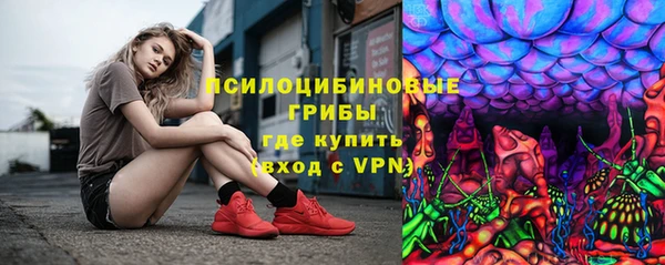 гашик Няндома