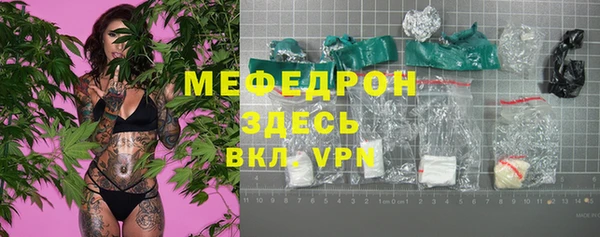 гашик Няндома