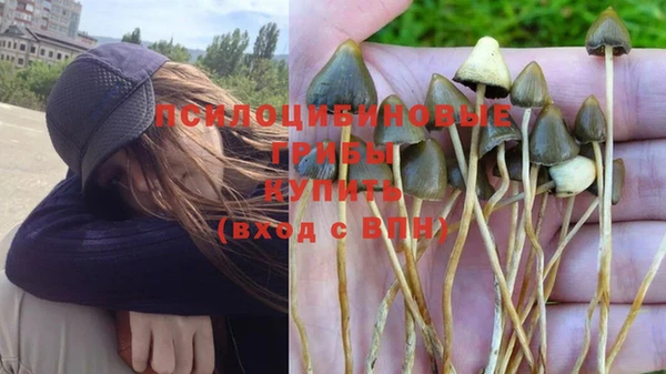 гашик Няндома