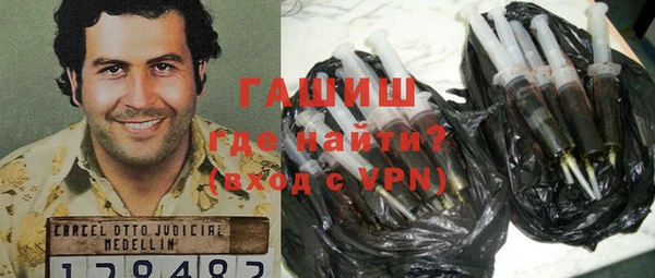 гашик Няндома