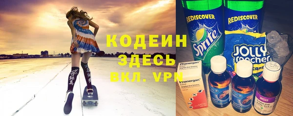 гашик Няндома